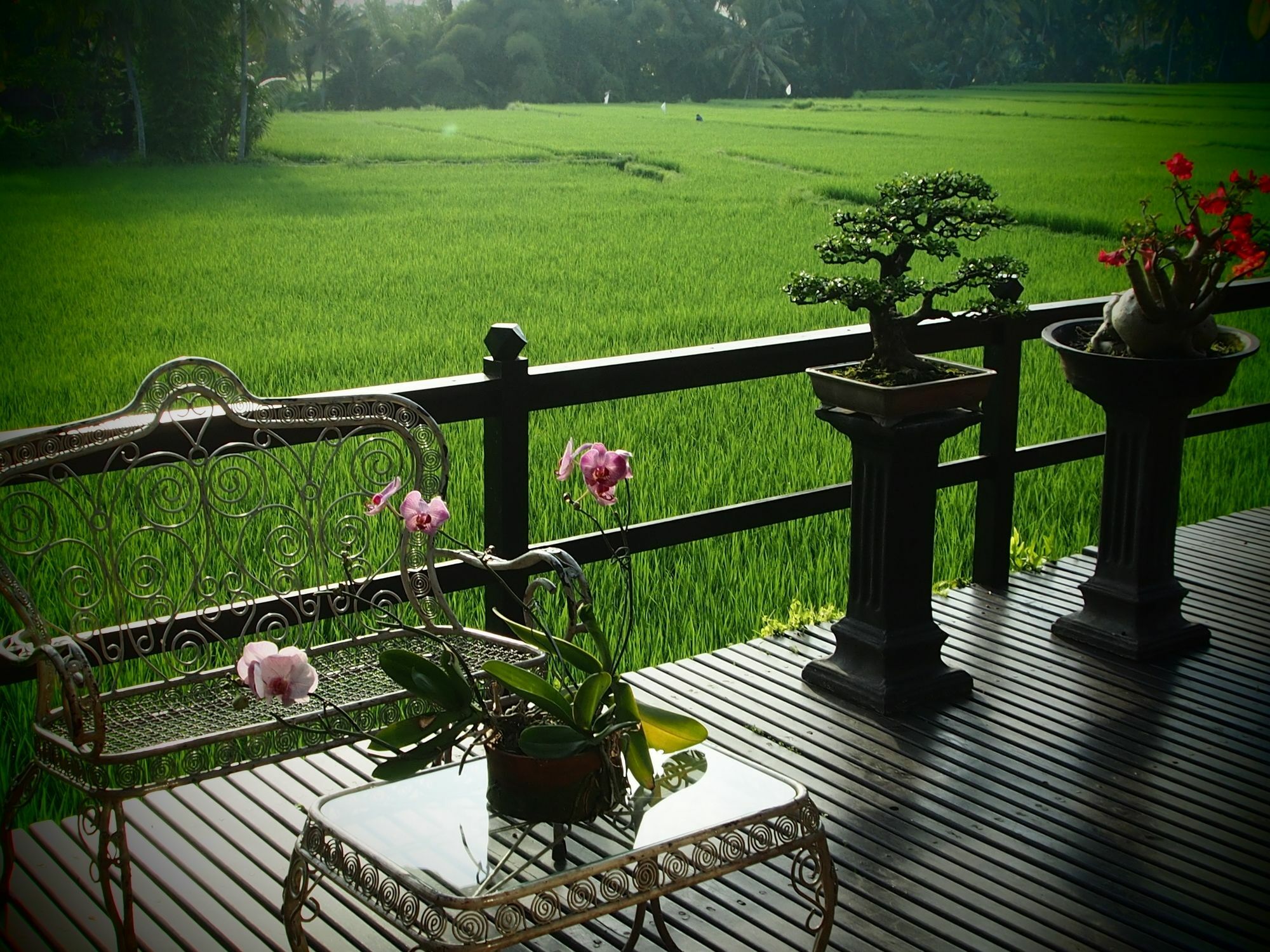 Lodtunduh Sari Hotel Ubud Exterior foto